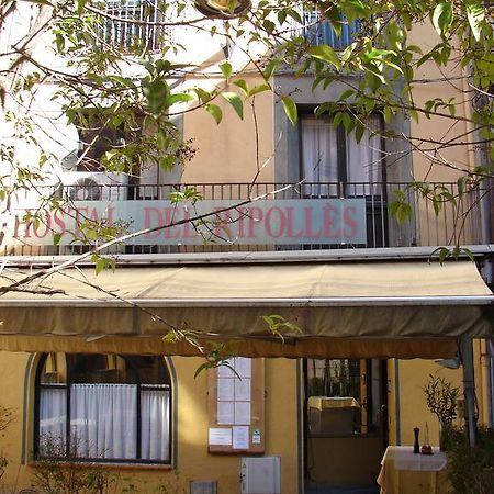 Hostal Del Ripolles Zewnętrze zdjęcie